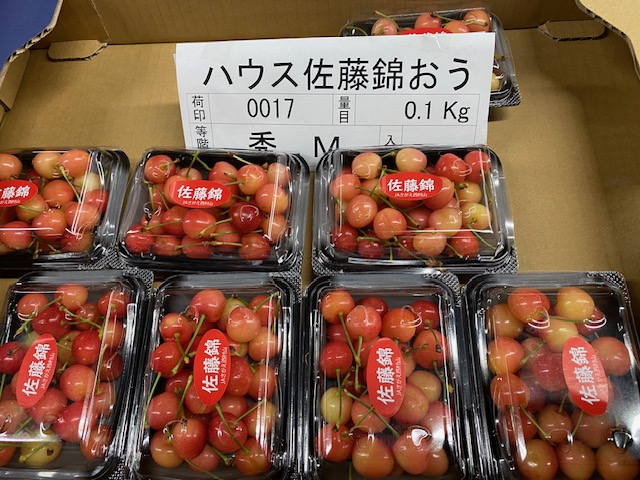 山形県産さくらんぼ「佐藤錦」