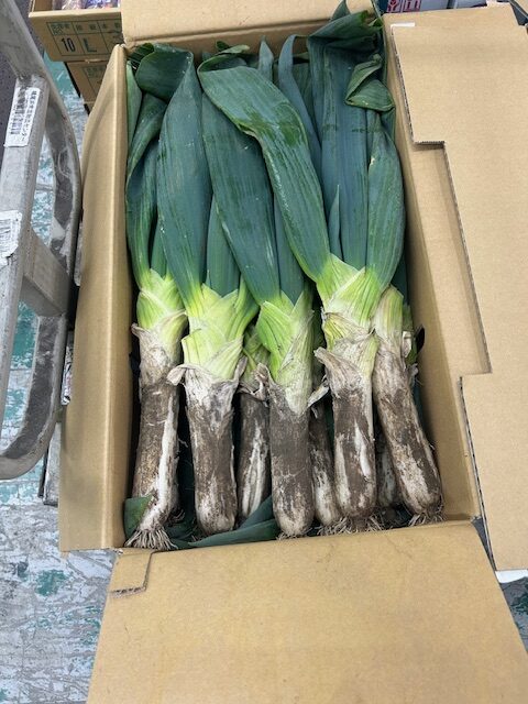 立派な葉付きネギの入荷風景
