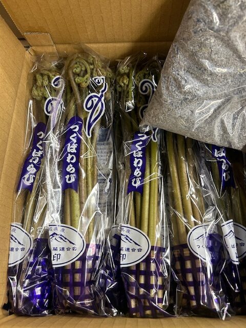 つくし・わらびなど春の山菜