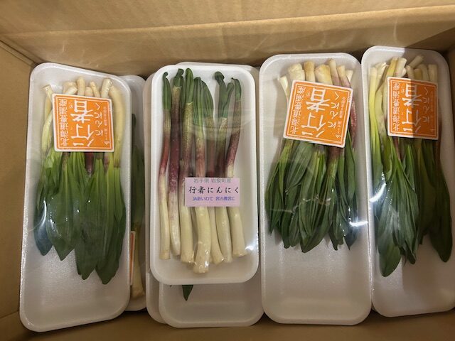 行者にんにくの入荷