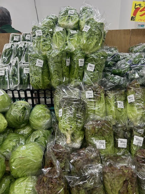 スーパーの野菜売り場に並ぶレタスや葉物野菜